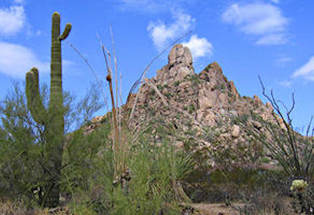 Troon Village Real Estate